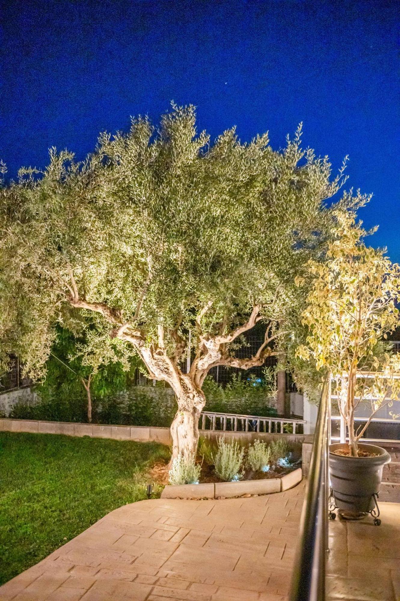 Вилла Thea Seaview Luxury Living Каламата Экстерьер фото